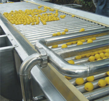 fruit sorting machine