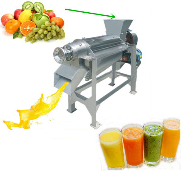 fruit juice spiral juice extractor