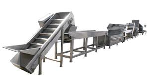 pineapple juice processing line