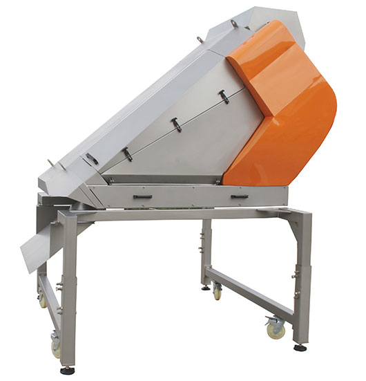 AGICO new type grape destemmer crusher 