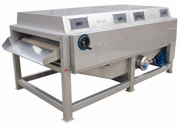 brush and spray fruit cleaning machine for mango