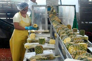 Pineapple Juice Processing Flow Chart