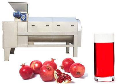 pomegranate juice processing line