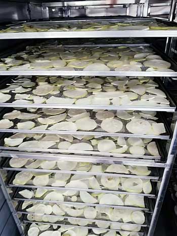 dryer oven