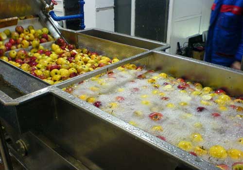 fruit bubble washing machine