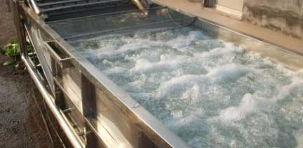 Fruit bubble washing machine used for washing fruits