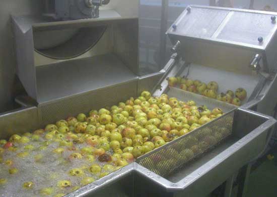 fruit washing machine