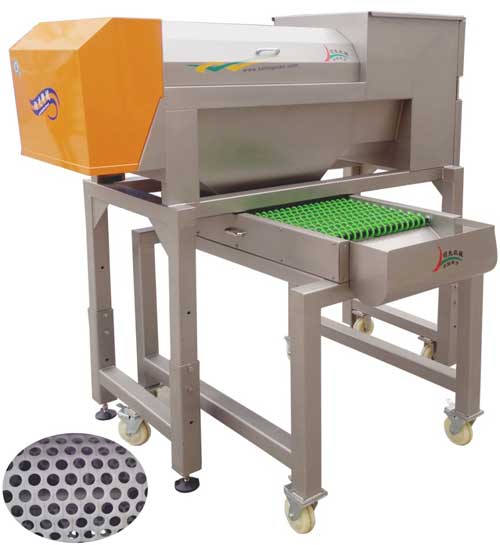 grape destemmer crusher