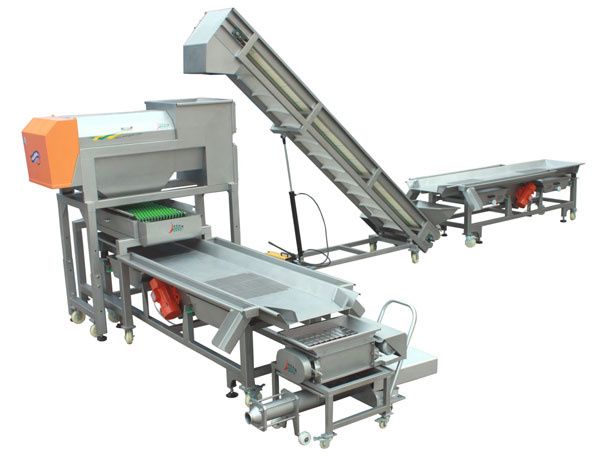 grape grain screening line