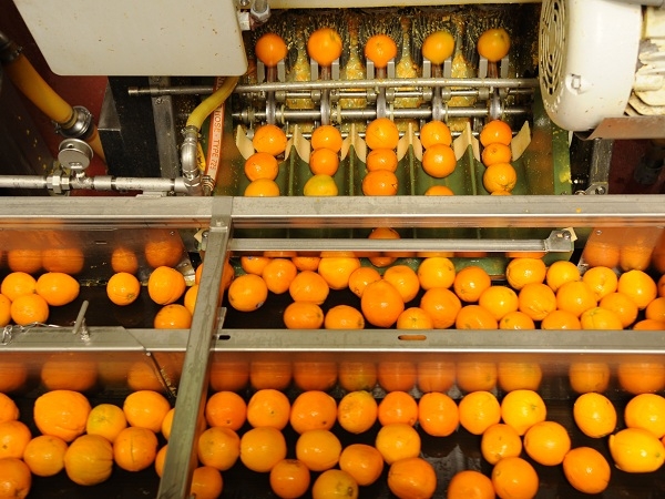 Fresh juice extraction deals