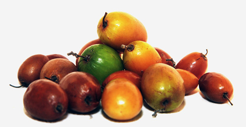 jujube and red dates