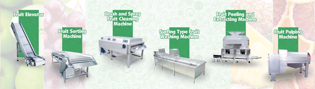 mango juice processing line