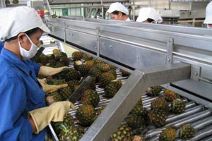 pineapple juice processing lines
