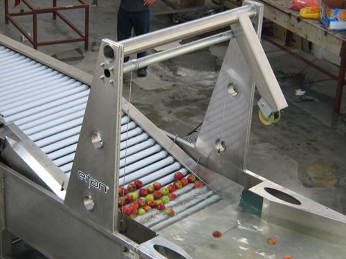 process of fruit sorting machine
