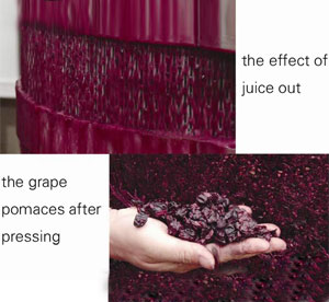 THE effect of juice out