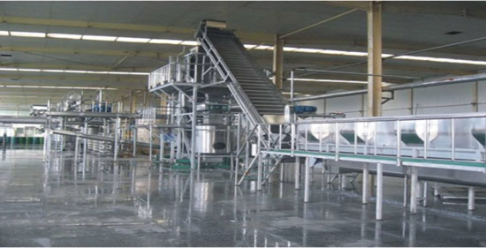 fruit processing line